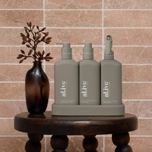 Load image into Gallery viewer, DISH WASH, HAND WASH AND BENCH SPRAY (pre order)