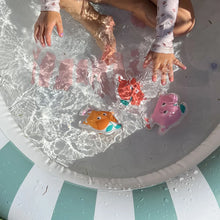 Load image into Gallery viewer, DIVE BUDDIES - POPPY THE PEACH