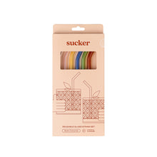 Load image into Gallery viewer, Reusable Glass Drinking Straws - Multi-colour
