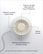 Load image into Gallery viewer, Electric Wax Melter
