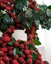 Load image into Gallery viewer, Guava &amp; Lychee Sorbet Soy Wax Melts
